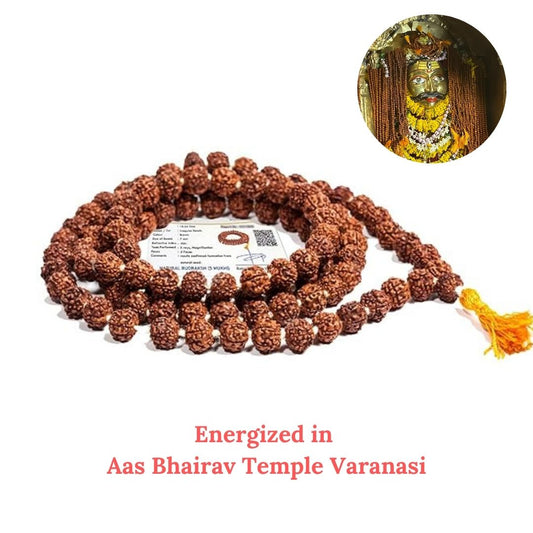 108 Beads Energized 5 Mukhi Rudraksha Mala – Direct from Bhairav Temple, Varanasi (Lab Certified )